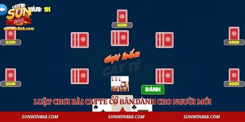 Chơi Catte Trực Tuyến - Luật Chơi Game Chi Tiết Nhất 3 Luật chơi bài Catte cơ bản dành cho người mới