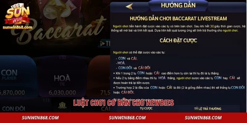 Baccarat – Khám Phá Luật Chơi Cơ Bản Dành Cho Tân Thủ 2 Luật chơi cơ bản cho newbies